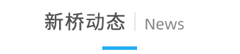 新闻资讯