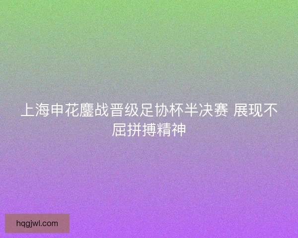 上海申花鏖战晋级足协杯半决赛 展现不屈拼搏精神